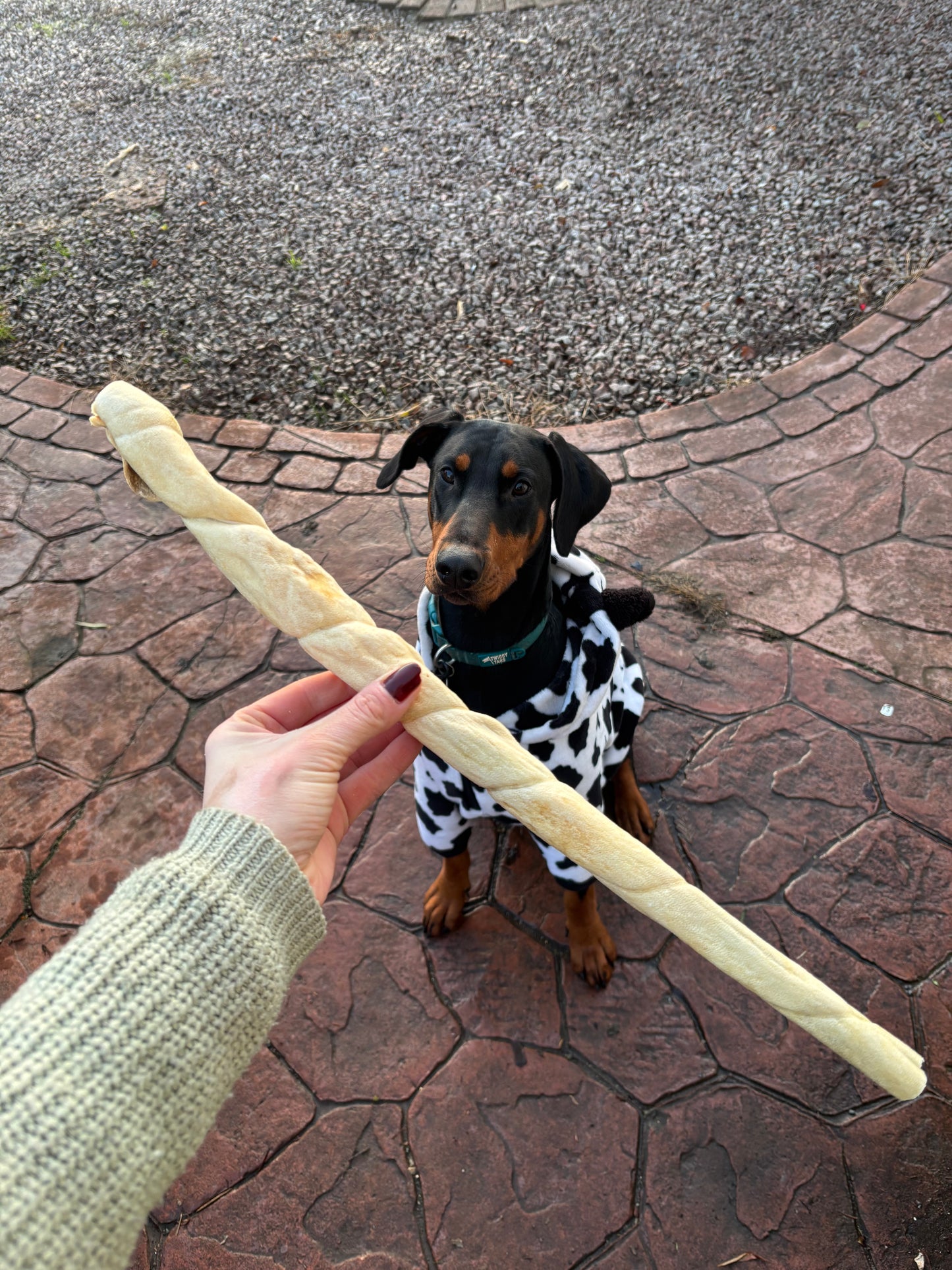 Giant Lamb Skin Roll - 50cm