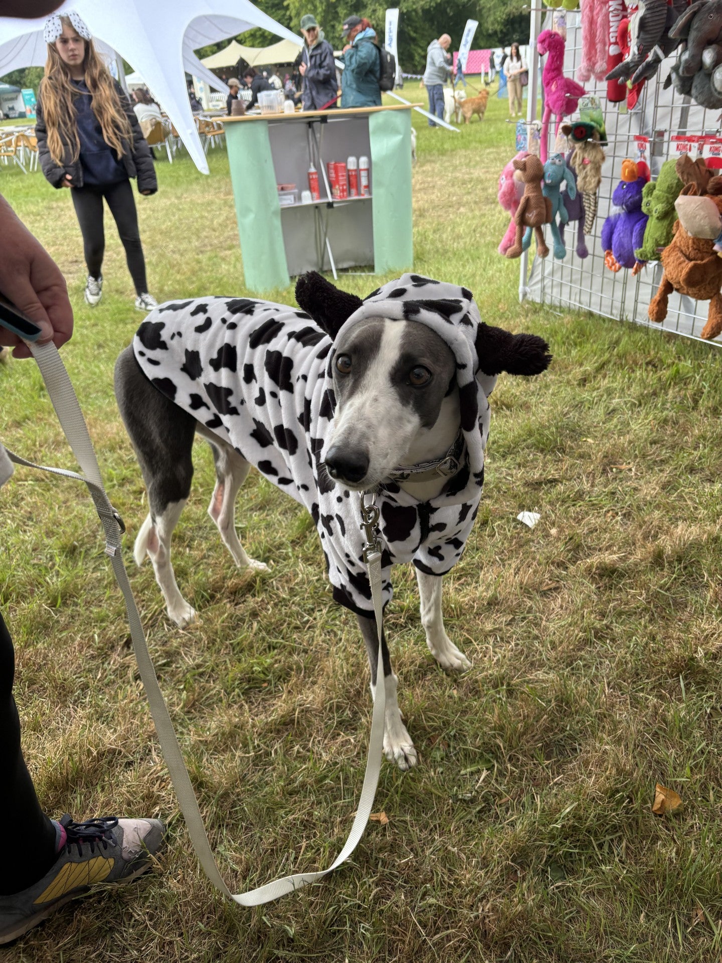 Cow Print Pyjamas