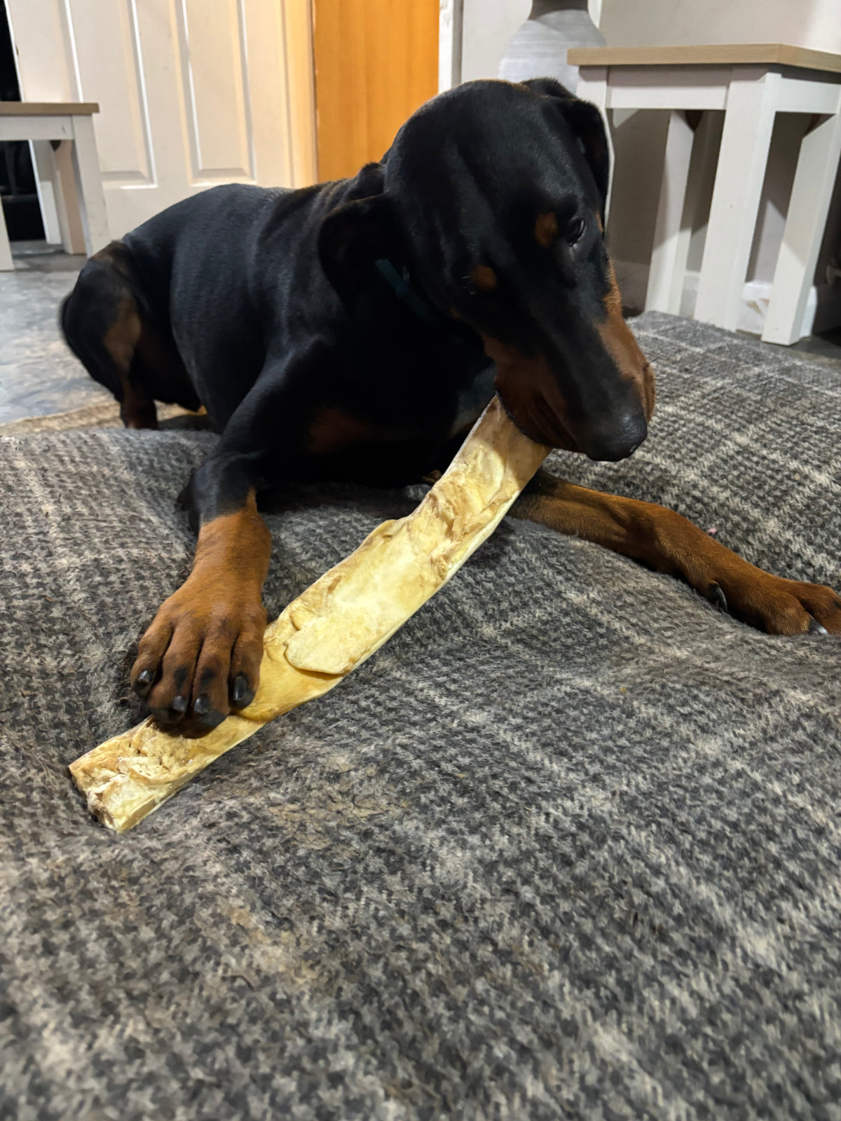 Giant Beef Skin Stick 50-60cm
