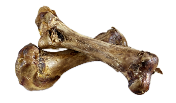 Ostrich Bone