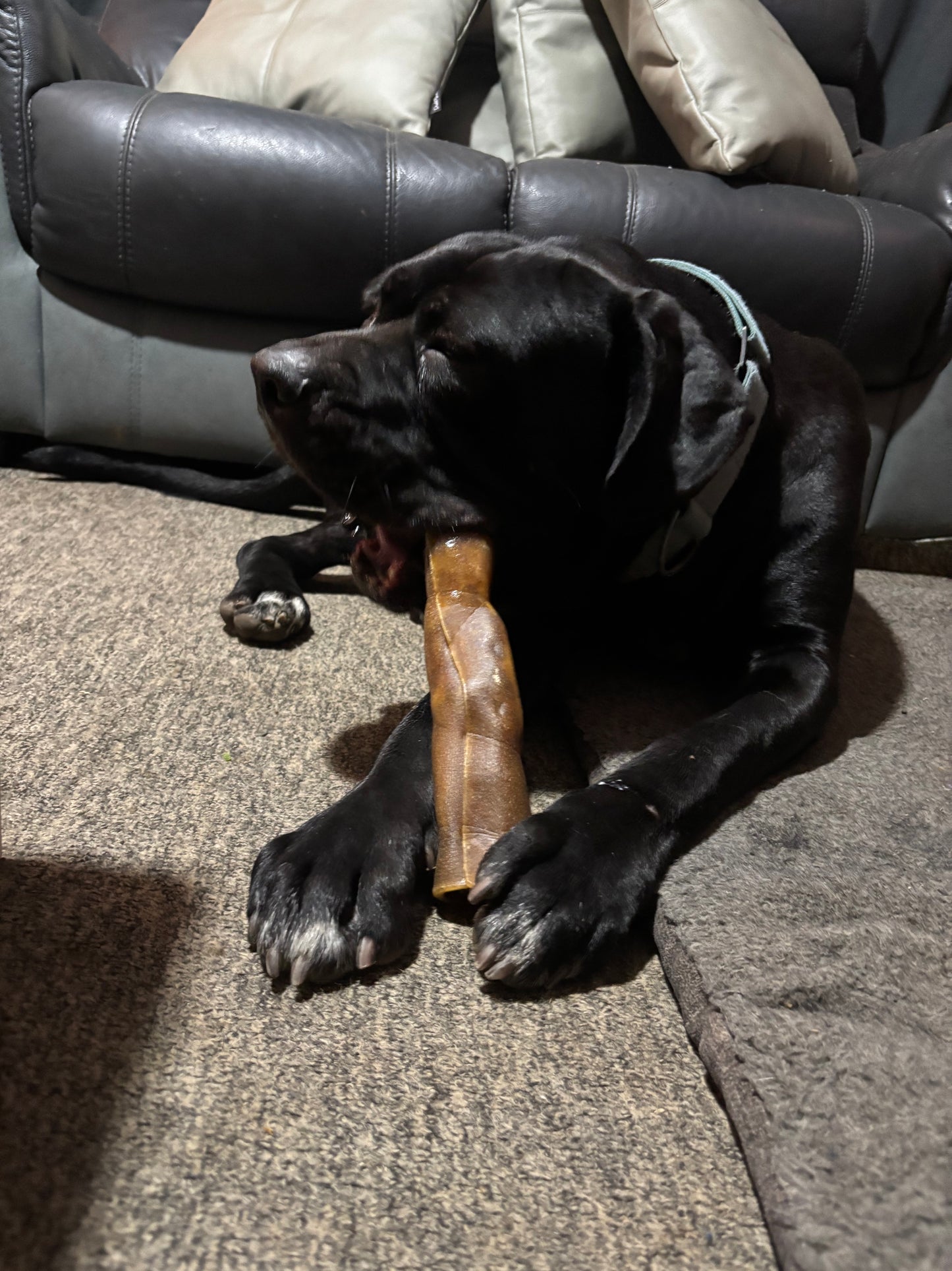 Large Camel Skin Roll