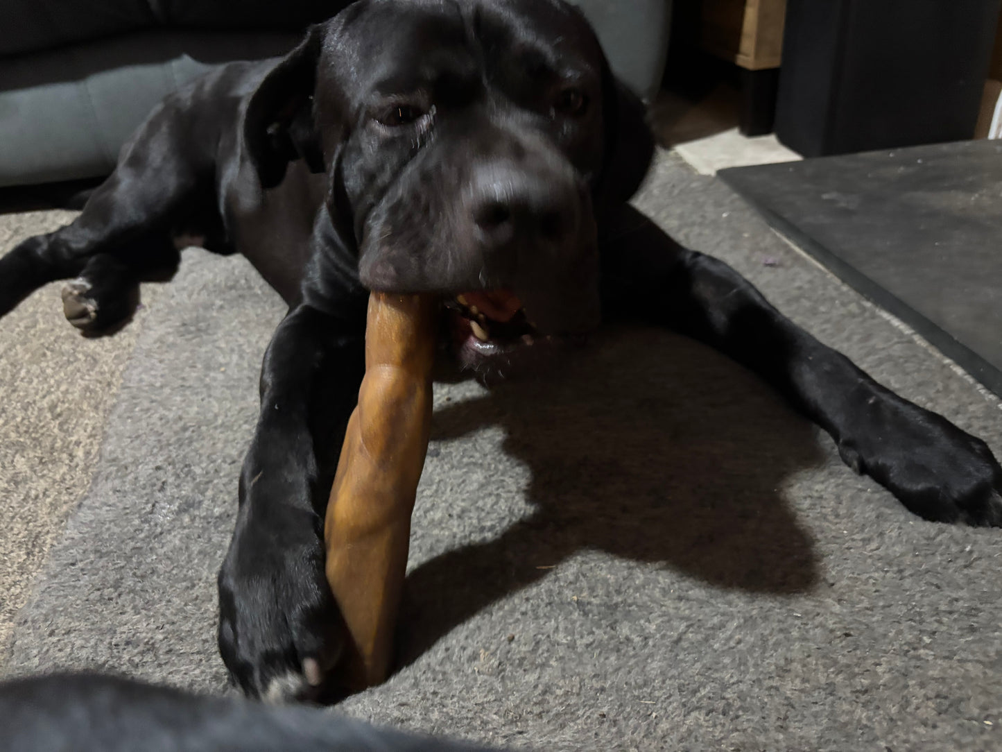 Large Camel Skin Roll