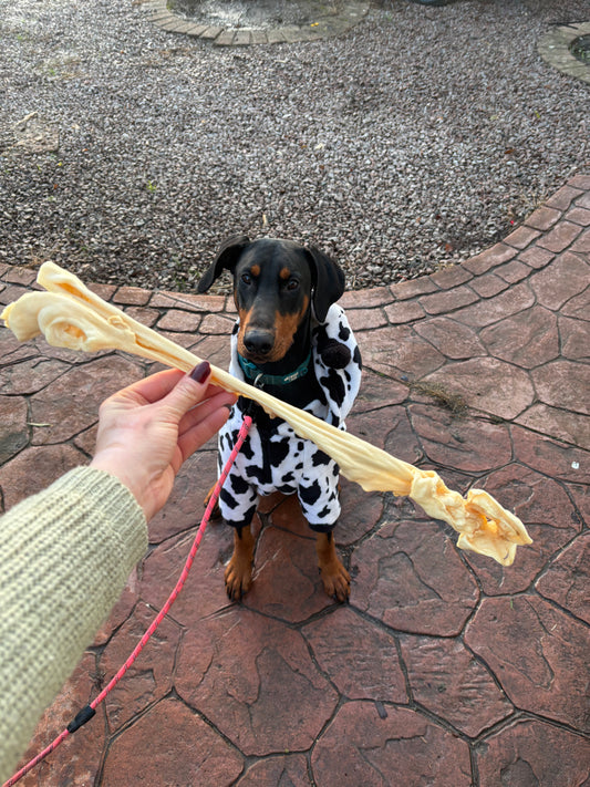 Giant Lamb Skin Stick - 50cm