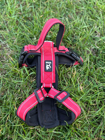 Long Body Harness