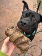 Buffalo Lung Wrapped Trachea