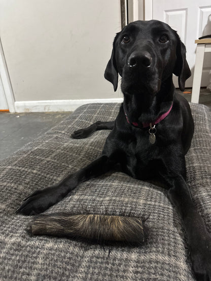 Large Hairy Buffalo Skin Rolls