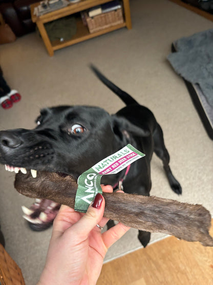 Large Hairy Red Deer Skins