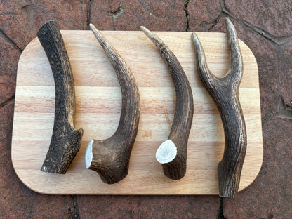 Scottish Deer Antler