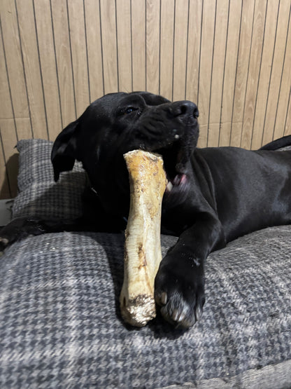 Ostrich Honeycomb Bone