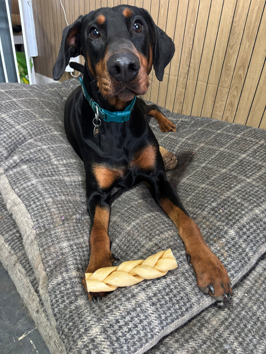 Medium Buffalo Skin Braid