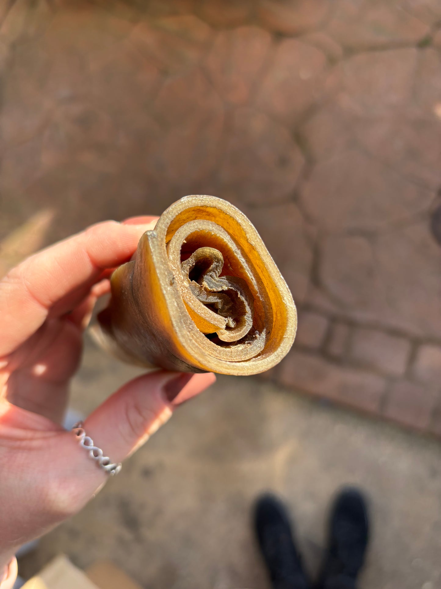 Medium Thick Camel Skin Roll