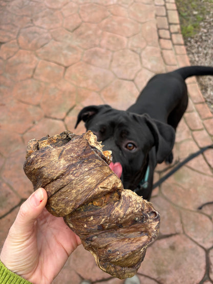 Buffalo Lung Wrapped Trachea