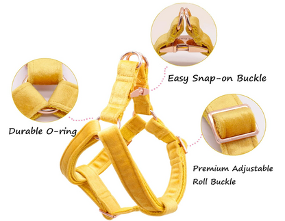 Velvet Step in Harness