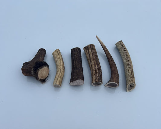 Antler