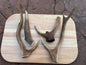 Scottish Deer Antler