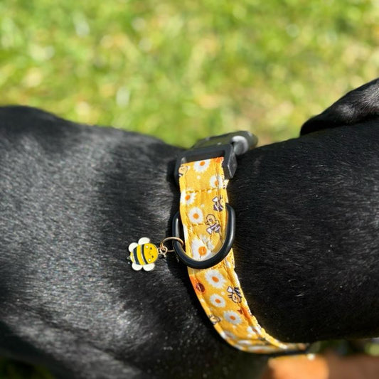 Honey Bee Patterned Adjustable Dog Collar All Breeds Various Sizes
