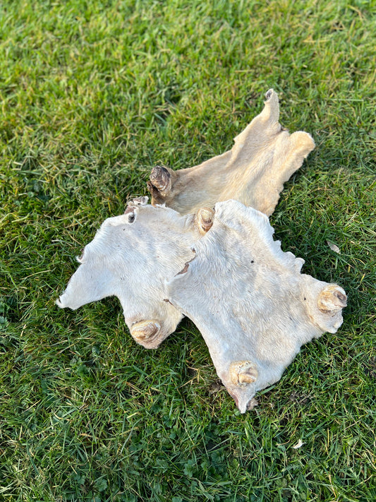 Beef Bark with Fur