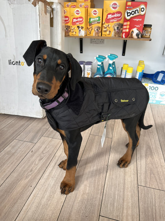 Barbour Navy Quilted Coat