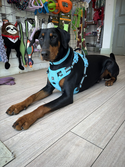 Padded Harness