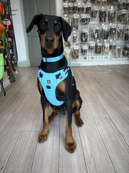Padded Harness