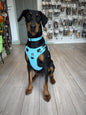 Padded Harness