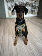 Padded Harness
