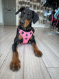 Padded Harness