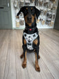 Padded Harness