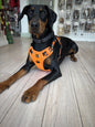 Padded Harness
