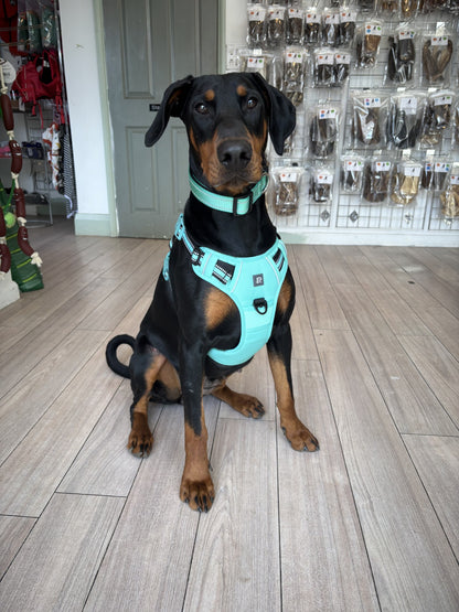 Padded Harness