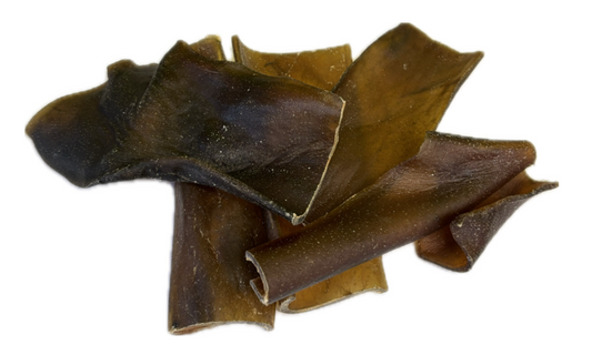 Camel Skin