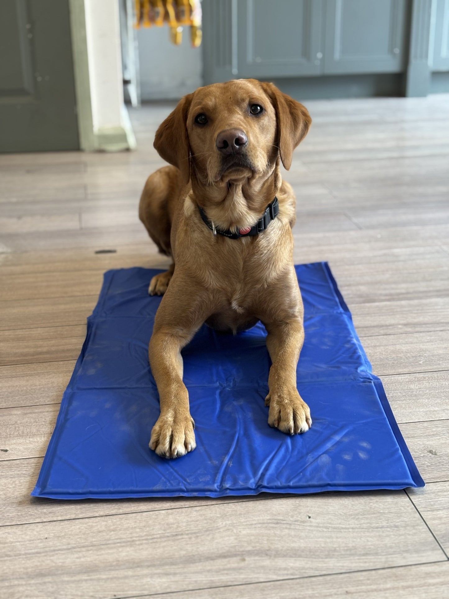 Cooling Mats