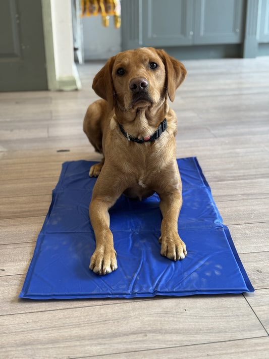 Cooling Mats