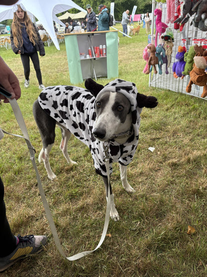 Cow Print Pyjamas