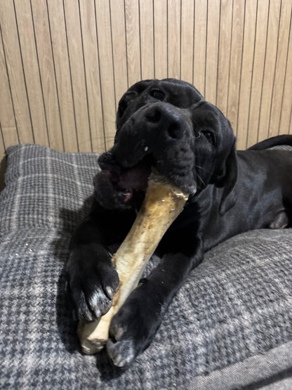 Ostrich Honeycomb Bone
