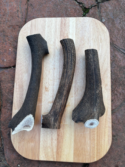 Scottish Deer Antler