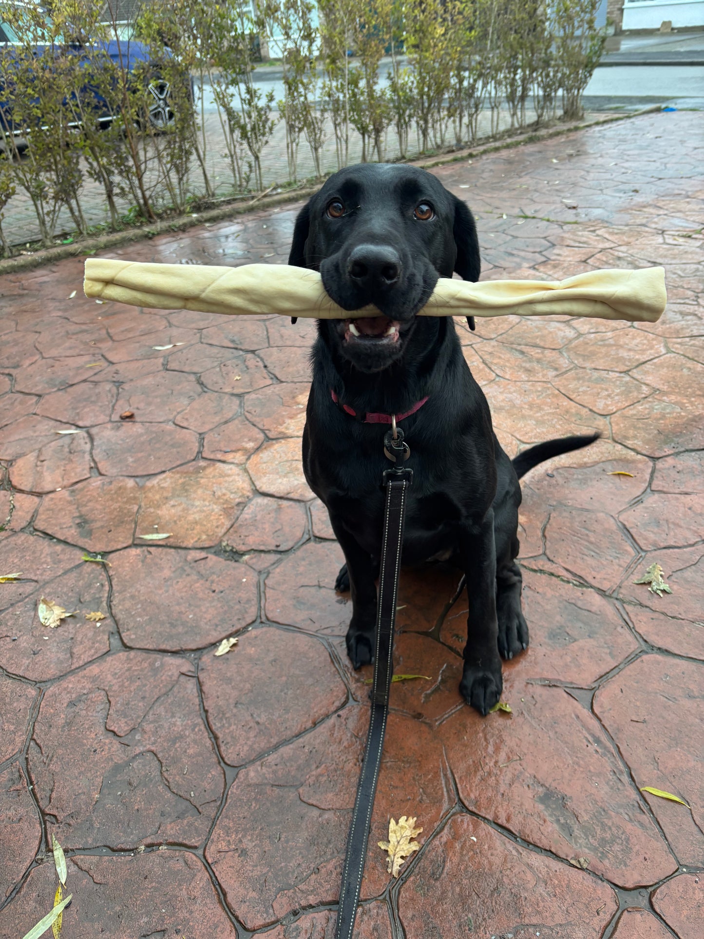 Giant Lamb Skin Roll - 50cm