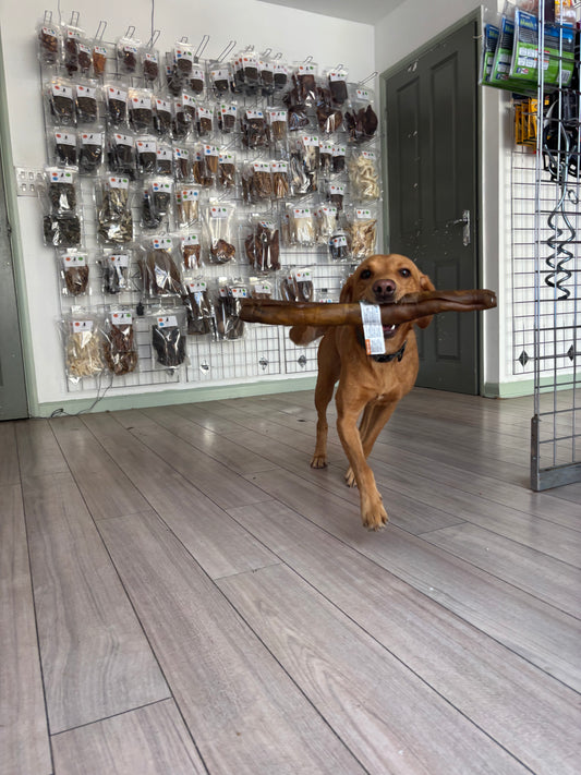 Giant Camel Skin Rolls