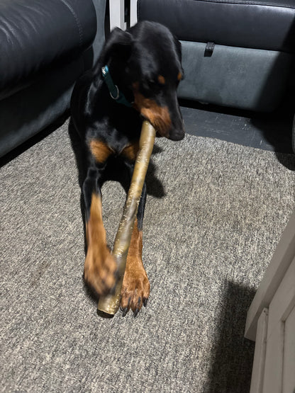 Giant Camel Skin Rolls