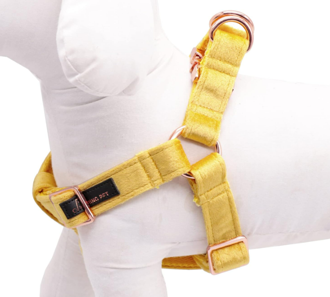 Velvet Step in Harness