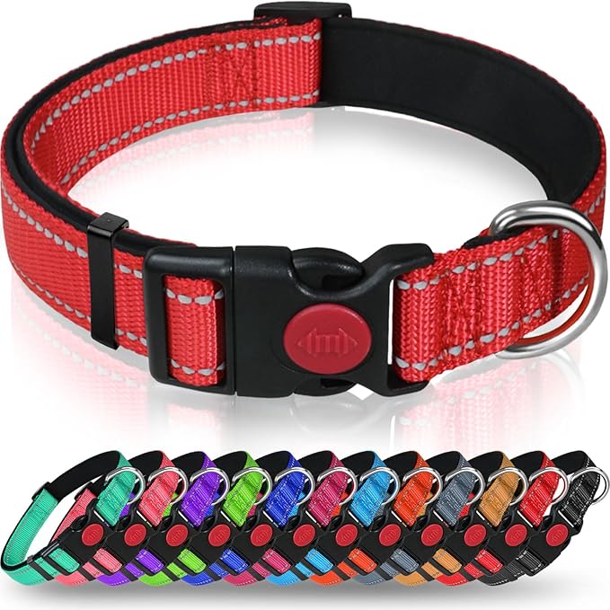Reflective Locking Clip Dog Collar