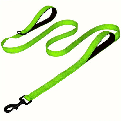 Double Handle Reflective Lead