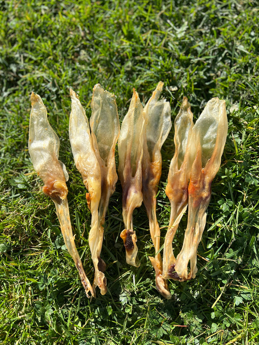 Rabbit Ears