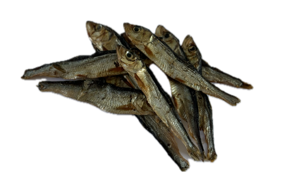 Sprats