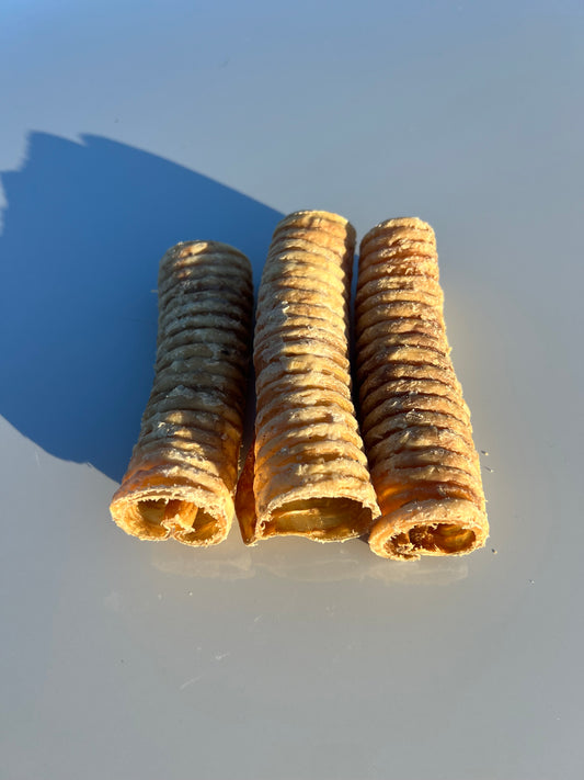 Trachea