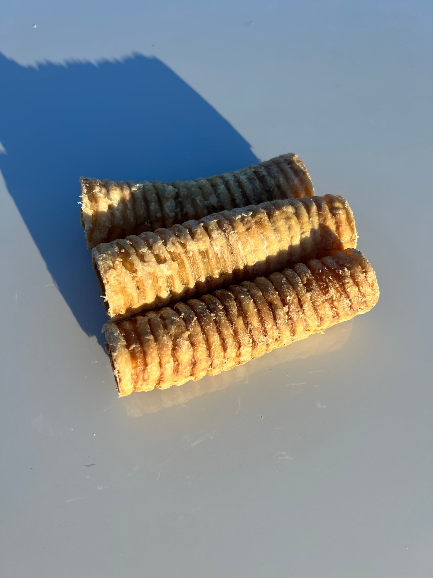 Trachea