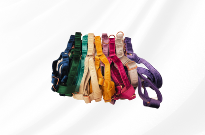 Velvet Step in Harness
