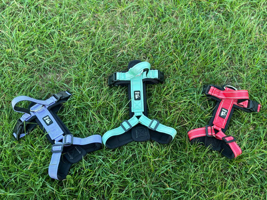 Long Body Harness
