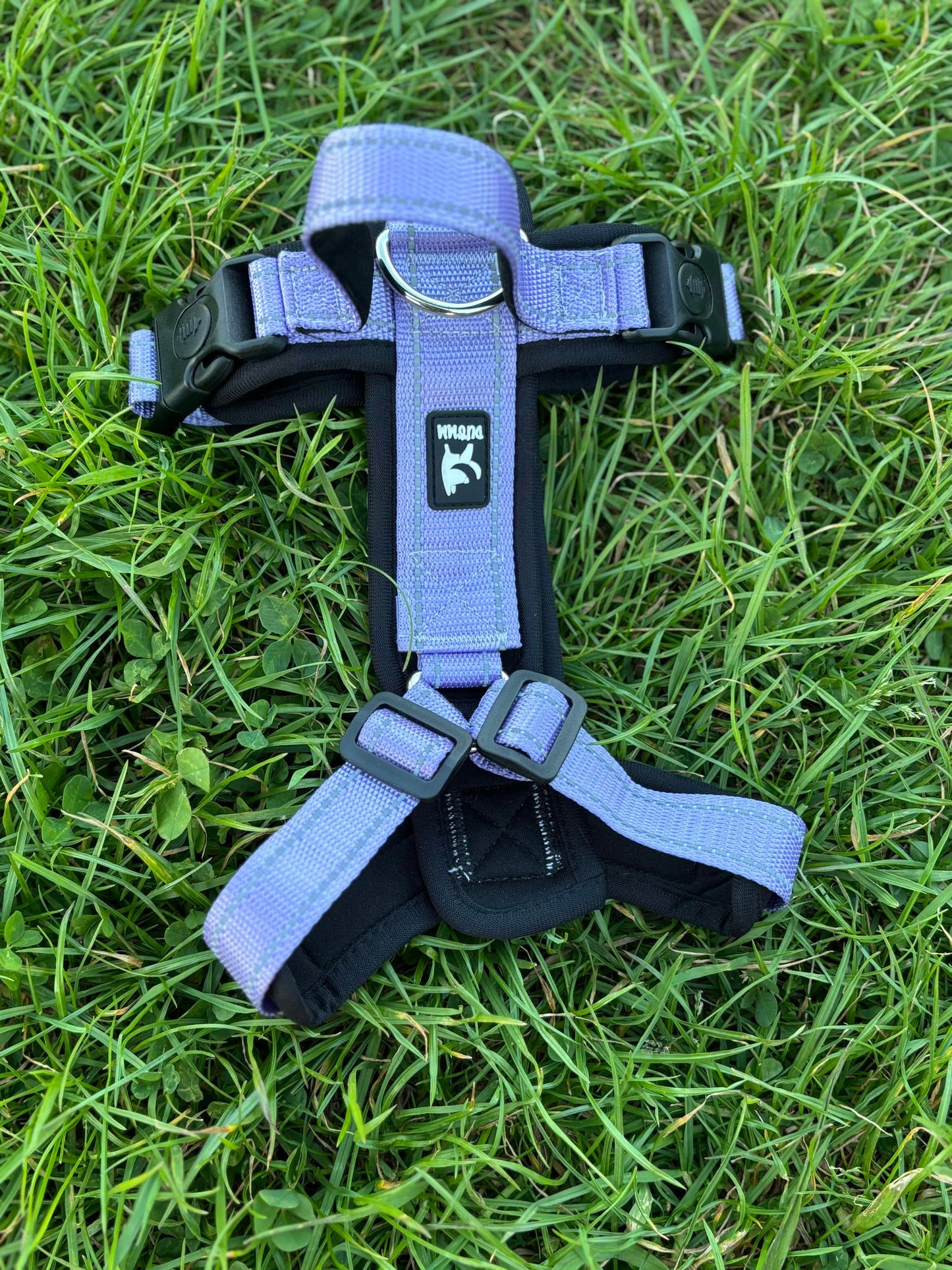 Long Body Harness