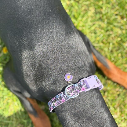 Purple Floral Patterned Adjustable Dog Collar All Breeds Various Sizes